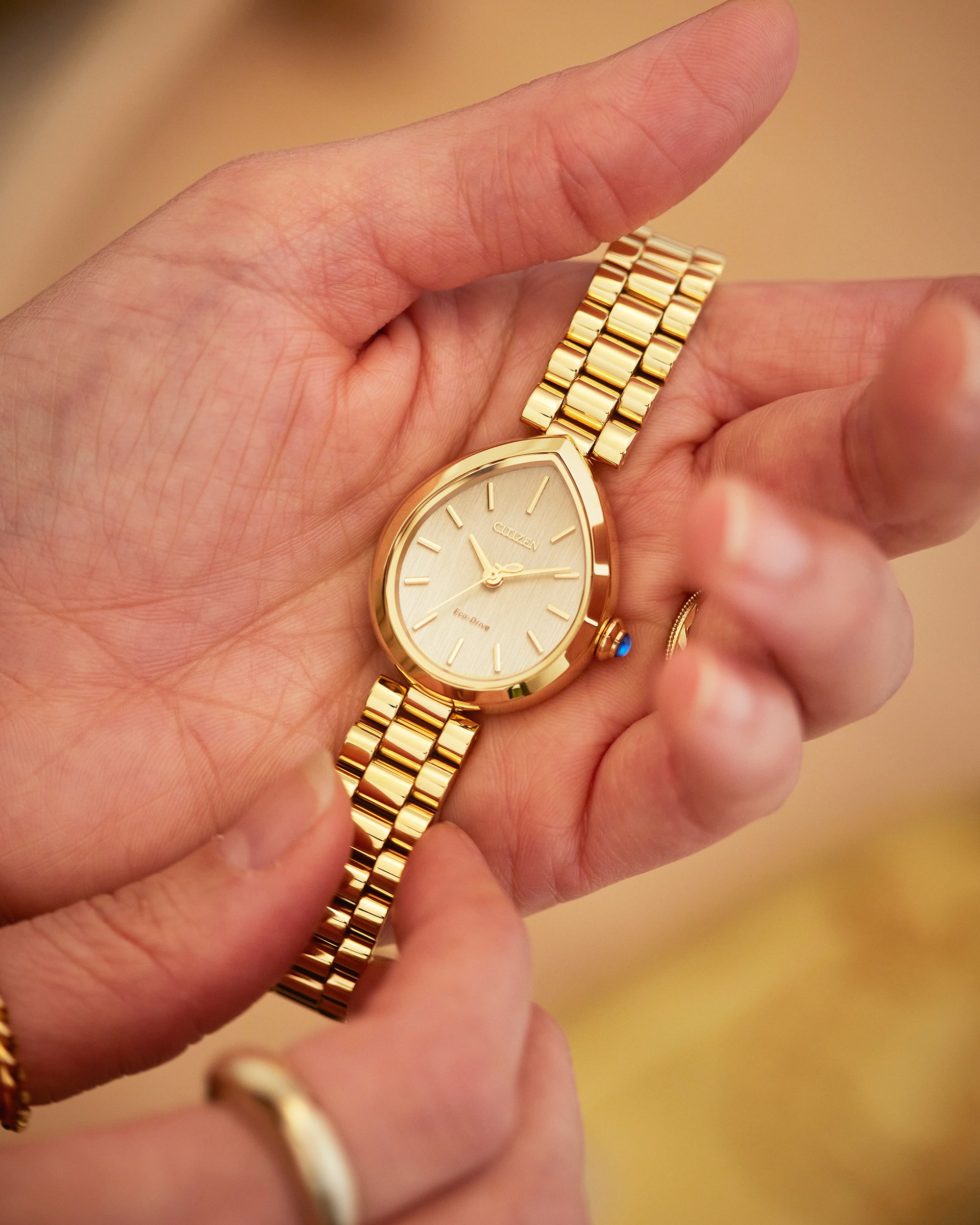 Ladies' Citizen Eco-Drive Rainell Gold-Tone EM1202-50P