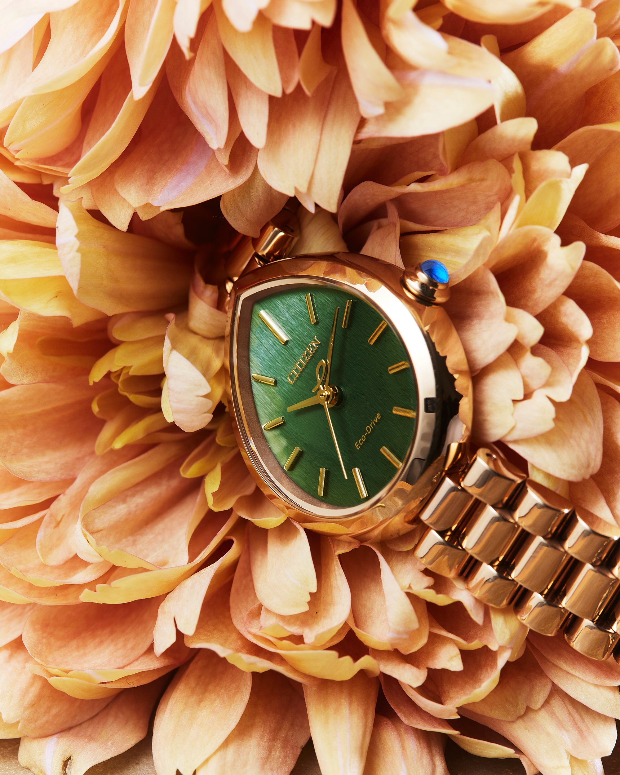 Ladies' Citizen Eco-Drive Rainell Rose Gold-Tone EM1203-57X