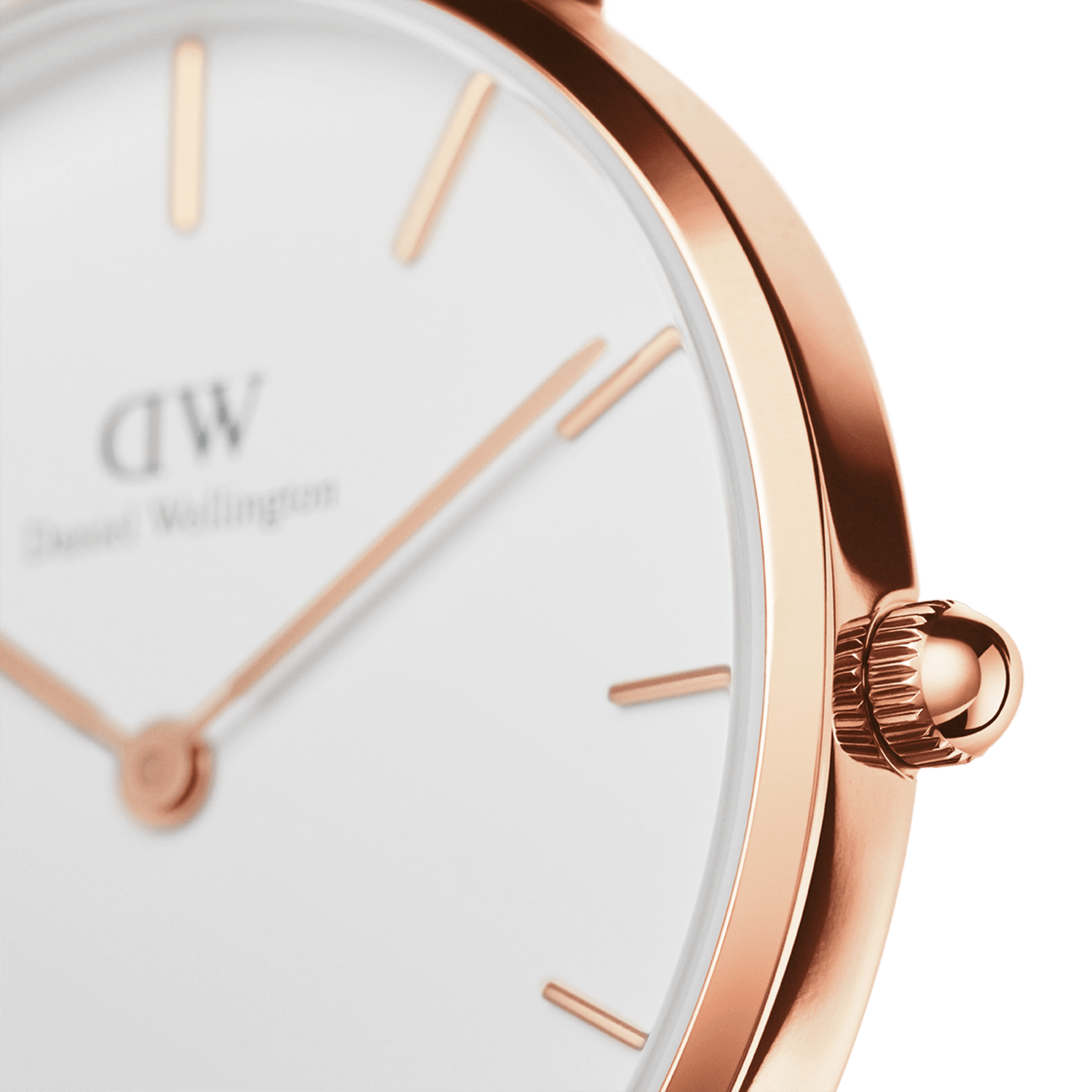 Daniel Wellington Petite Bondi 28mm Watch DW00100249