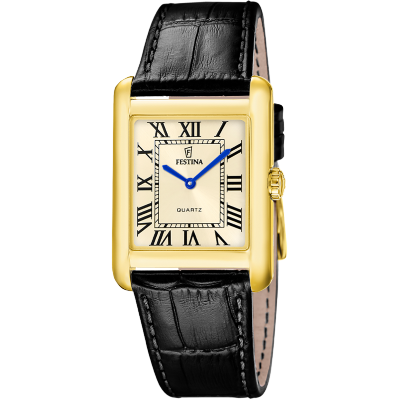 Festina Gold Dial Black Leather Strap Men's Watch F20772/2