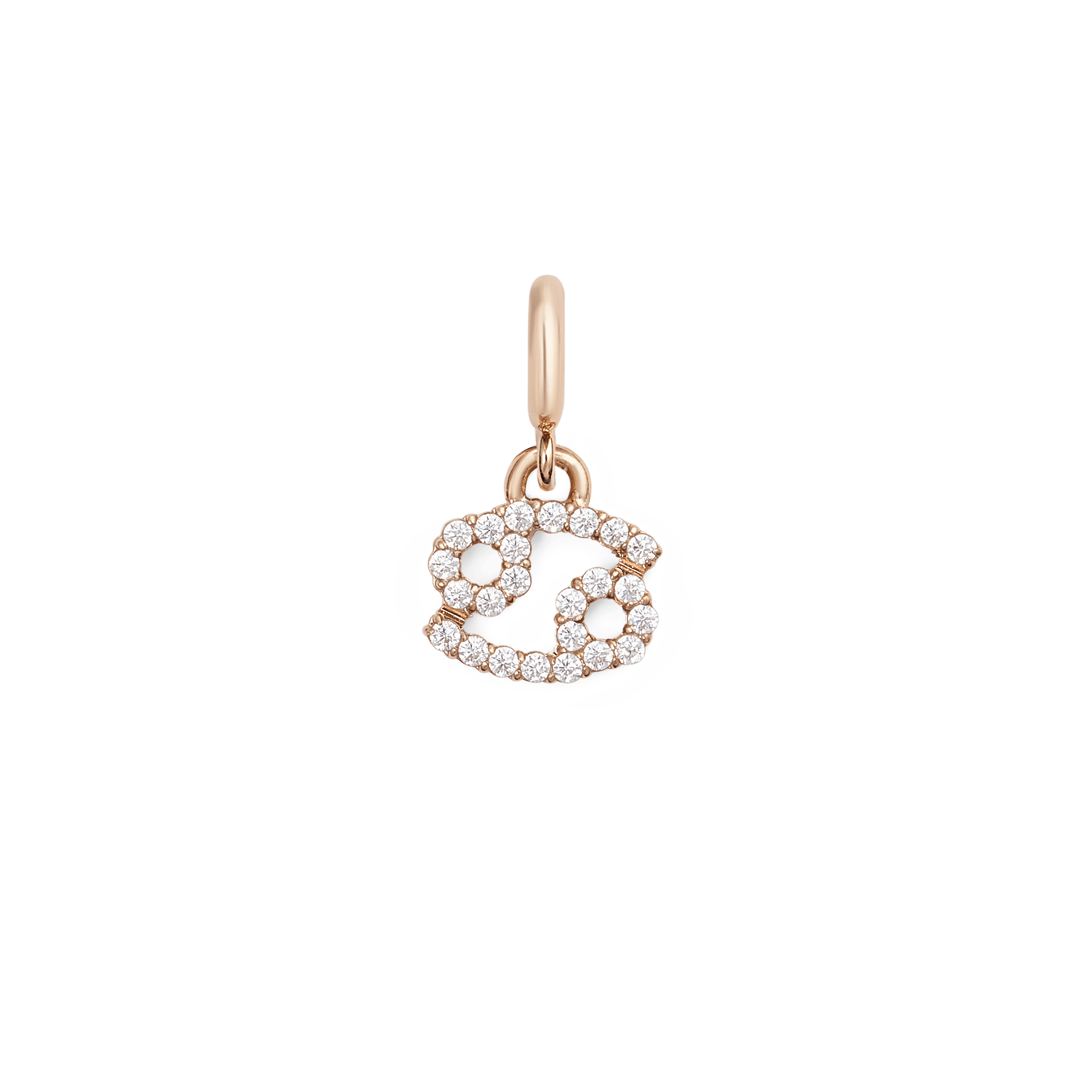 Daniel Wellington Zodiac Watch Charm Rose Gold