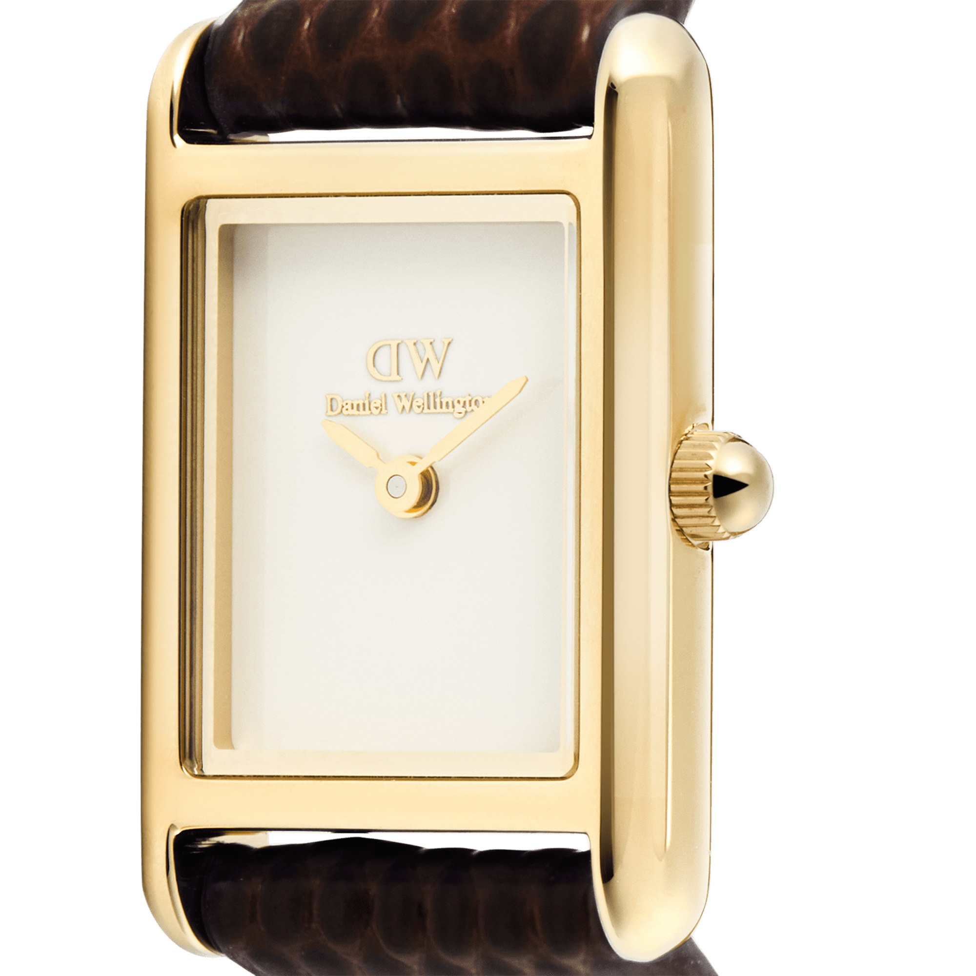 Daniel Wellington Bound Mini Dark Brown Lizard Gold DW00100904