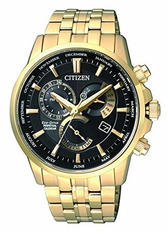 Citizen Analog Black Dial Bl8142-84E Mens Watch