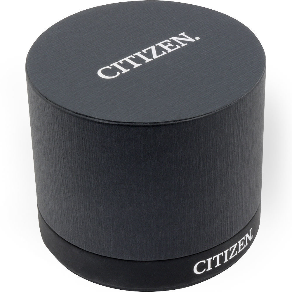 Citizen Aviator Eco-Drive Mesh Band Aw1360-55F Mens Watch