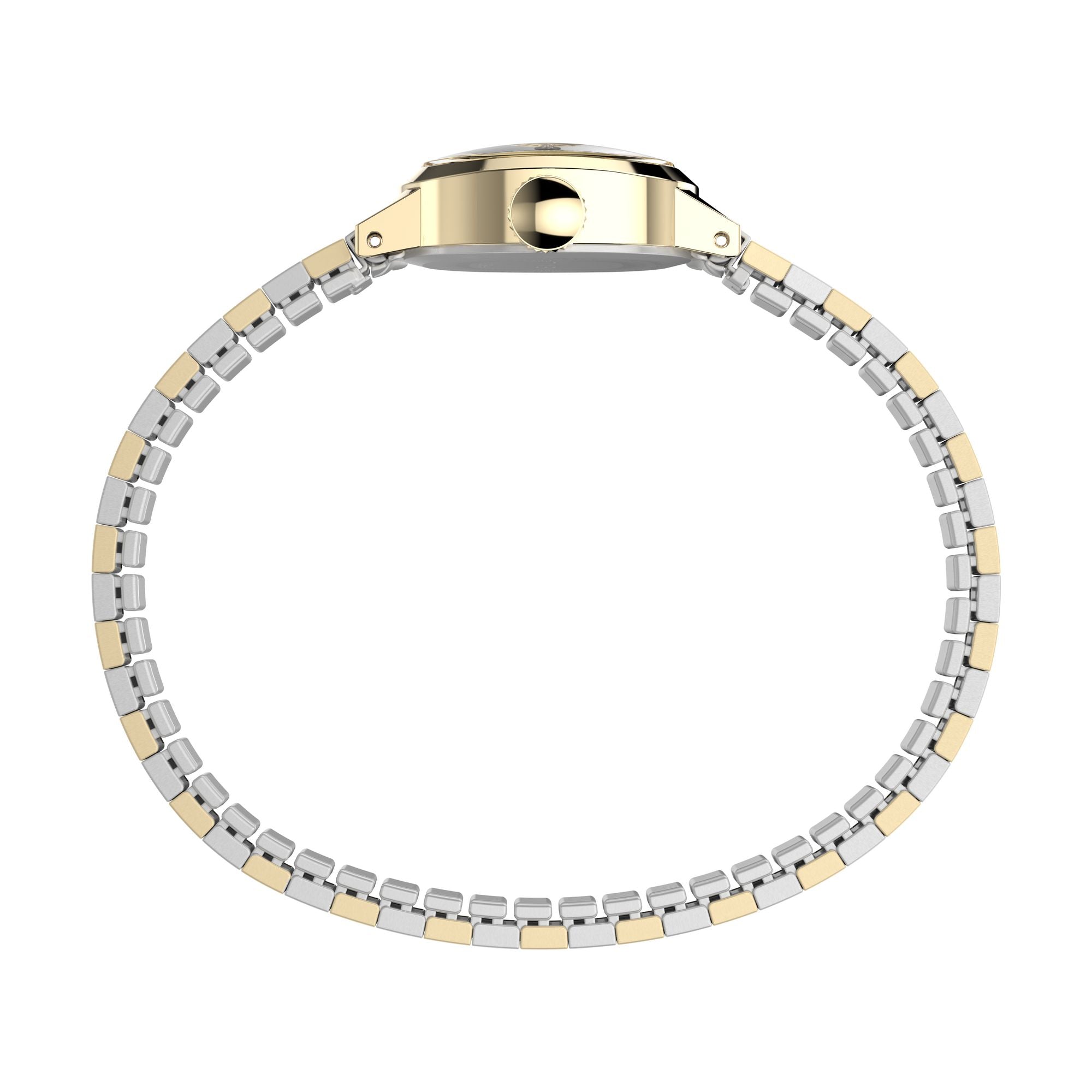 Timex Cavatina Retro Mini Two Toned White Dial Women's Watch TW2Y66900