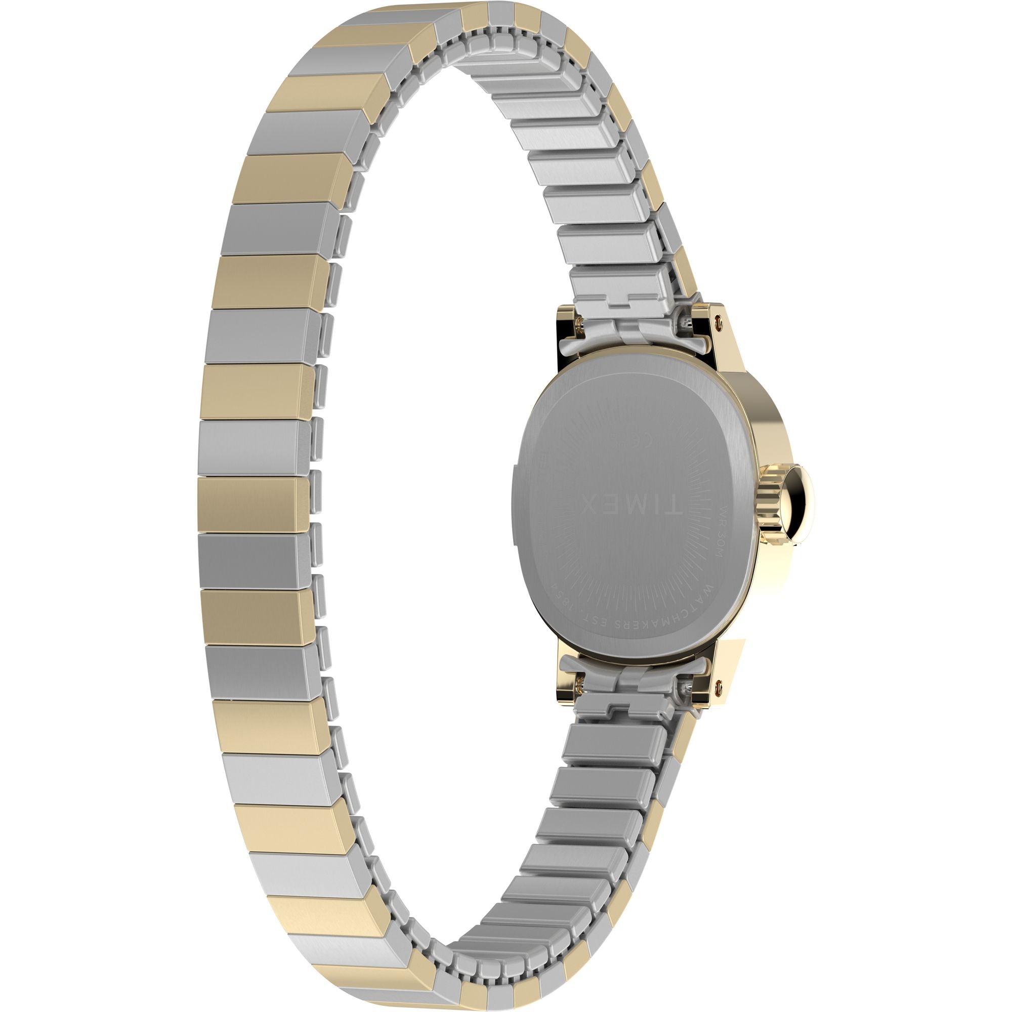 Timex Cavatina Retro Mini Two Toned White Dial Women's Watch TW2Y66900