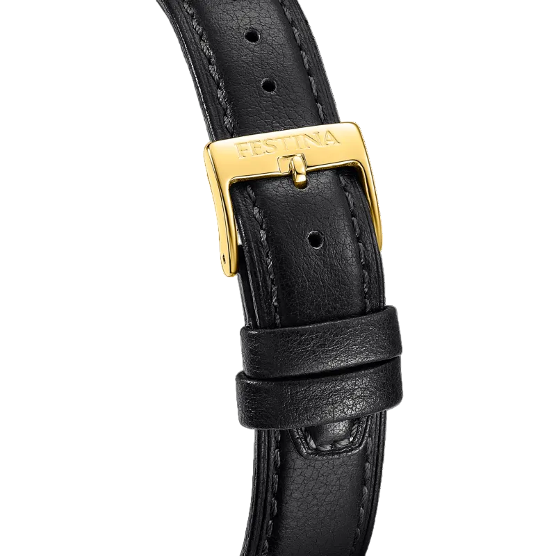 Festina Silver Dial Black Leather Strap Men's Watch  F20780/1