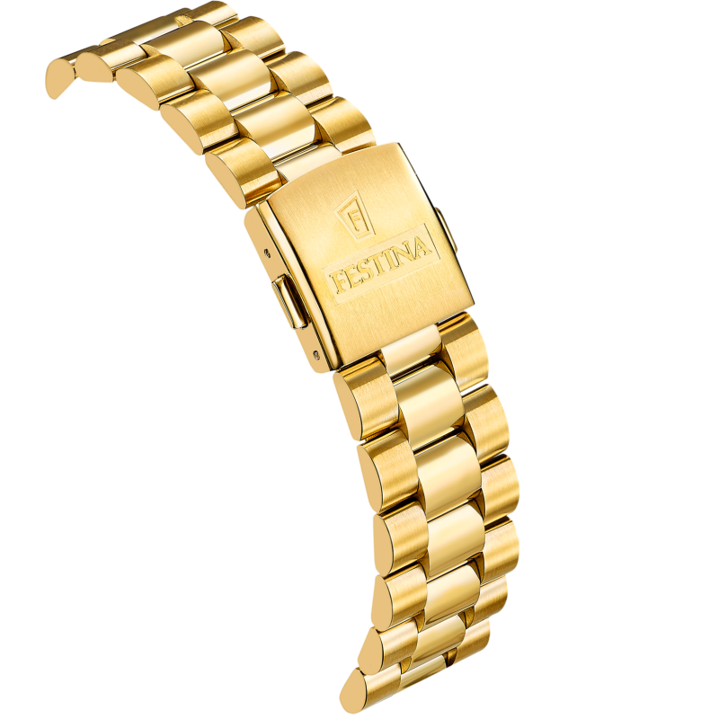 Festina Swiss Made Gold Dial Stainless Steel Men's Watch F20086/A