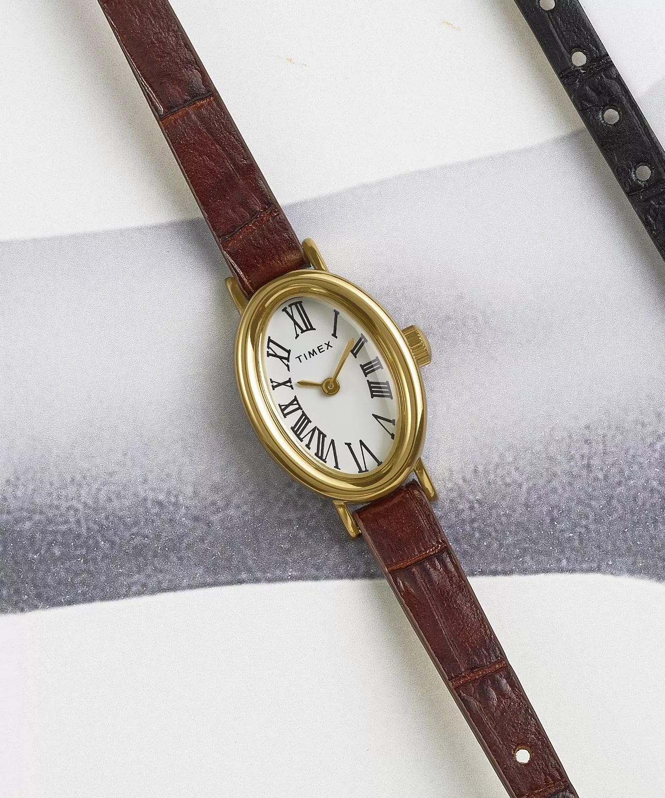 Timex Cavatina Gold Case with Brown Leather Band Women's Watch TW2W78500